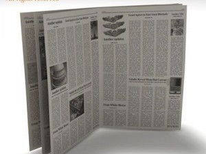 newspaper Modello 3D