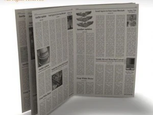 newspaper 3D Model