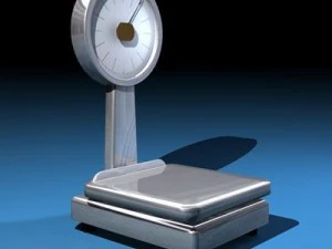 balance 3D Model