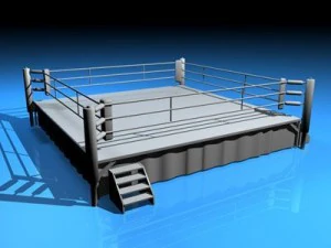 ring de boxe Modèle 3D