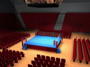 arena de boxe c4d Modelo 3D
