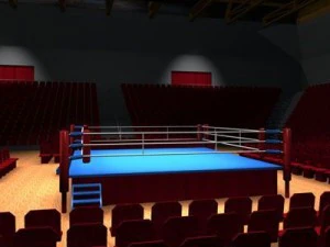 arena de boxe c4d Modelo 3D