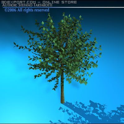 tree 3D Model .c4d .max .obj .3ds .fbx .stl .blend 