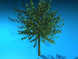 tree 3D-Modell