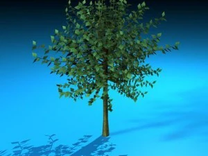 tree 3D Model