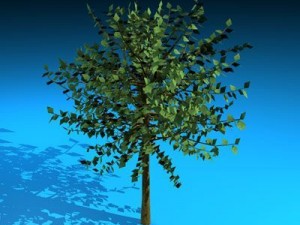 tree 3D Model