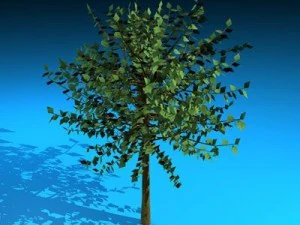 tree 3D Model