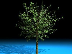 tree 3D Model