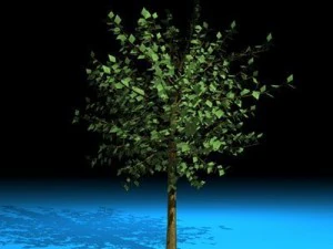 tree 3D Model