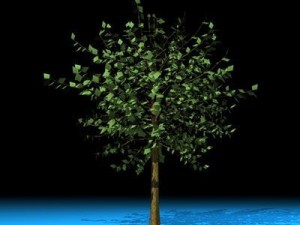 tree 3D Model