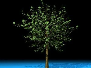 tree 3D Model