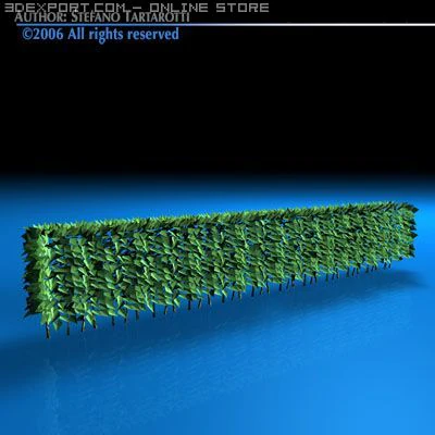 hedge 3D Model .c4d .max .obj .3ds .fbx .stl .blend 