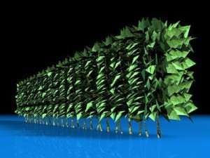hedge 3D 模型