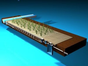 constructed wetland 3D-Modell