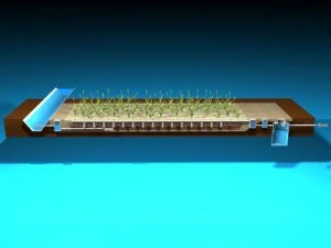 constructed wetland 3D Model