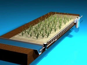 constructed wetland 3D Model
