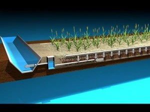 constructed wetland 3D Model