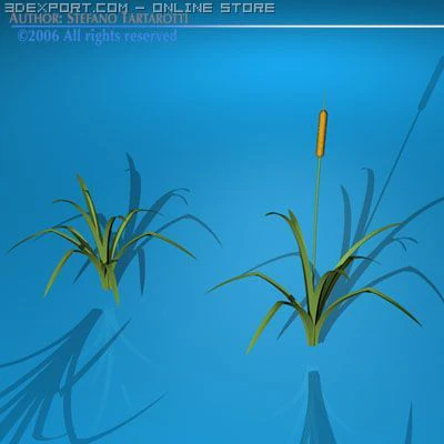 pond plant 3D Model .c4d .max .obj .3ds .fbx .stl .blend