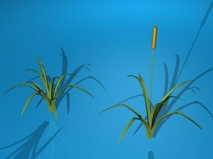 pond plant 3D 모델