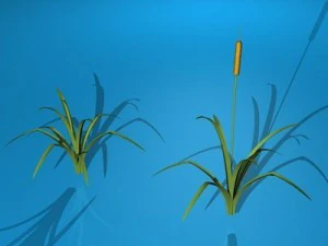 연못 식물 3D 모델