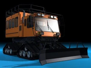 penumpang kucing salju Model 3D