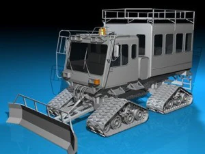 penumpang kucing salju Model 3D