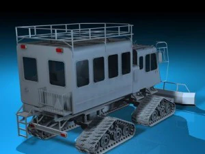 penumpang kucing salju Model 3D