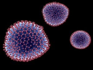 lymphocytic choriomeningitis 3D 모델