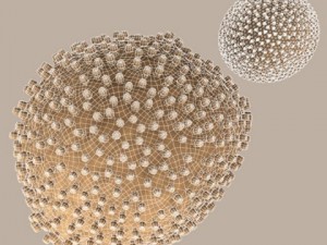 lymphocytic choriomeningitis 3D 모델