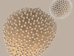 lymphocytic choriomeningitis 3D Model