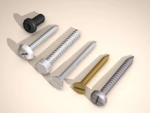 screws 3D Model