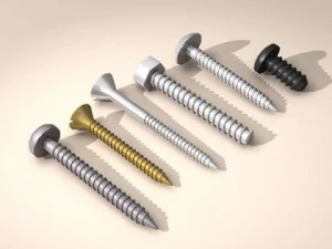 screws 3D Model