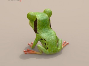 frog cartoon character Model 3D