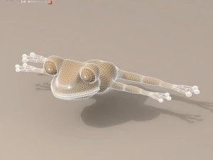 personaje de dibujos animados de rana Modelo 3D