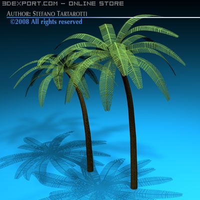 palm Modello 3D .c4d .max .obj .3ds .fbx .stl .blend 