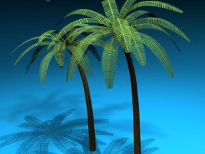 palm 3D Model