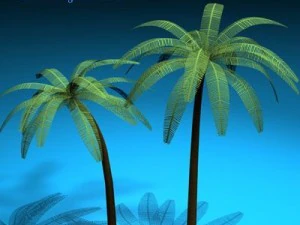 palm 3D Model