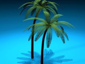 palm Modello 3D