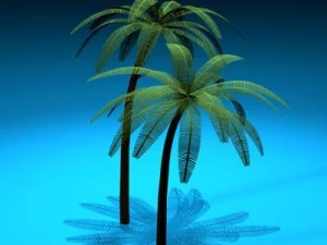 palm 3D Model