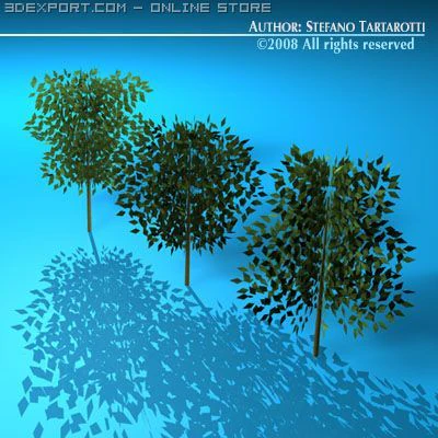 나무 3D 모델 .c4d .max .obj .3ds .fbx .stl .blend 