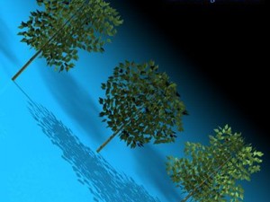 trees 3D-Modell