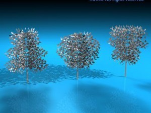 trees 3D-Modell
