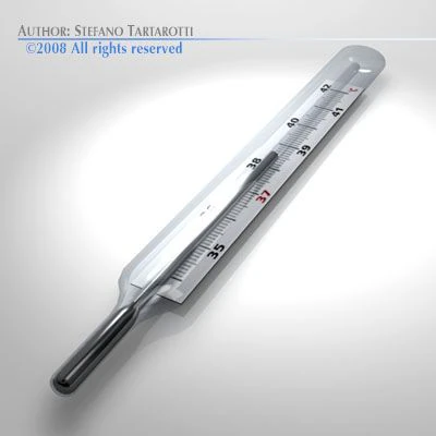 thermometer 3D Model .c4d .max .obj .3ds .fbx .stl .blend 