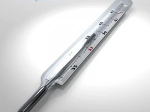 thermometer 3D Model