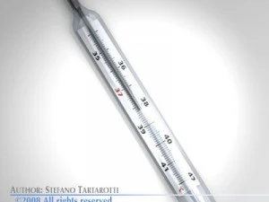 thermometer 3D Model