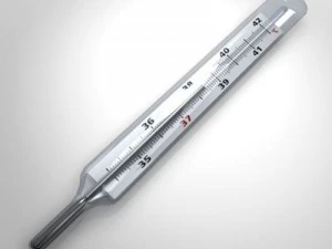 thermometer 3D Model