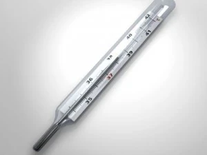 thermometer 3D Model