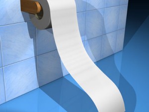 toilet paper 3D Model