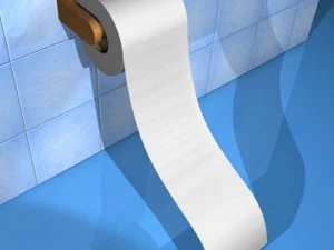 toilet paper 3D Model