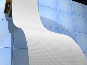 toilet paper 3D Model